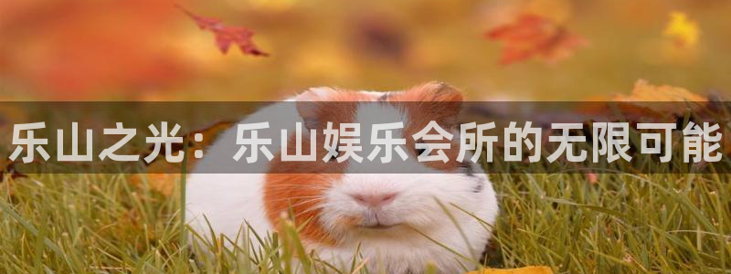 pg国际人：乐山之光：乐山娱乐会所的无限可能