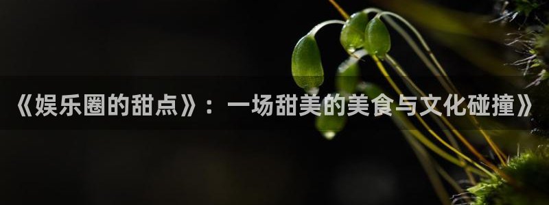 pg国际人：《娱乐圈的甜点》：一场甜美的美食与文化碰撞》