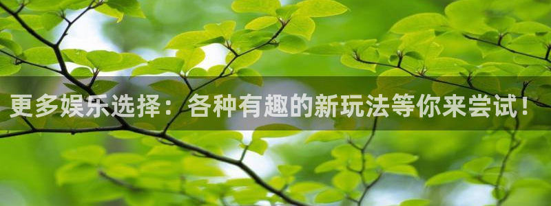 pg国际平台：更多娱乐选择：各种有趣的新玩法等你来尝试！