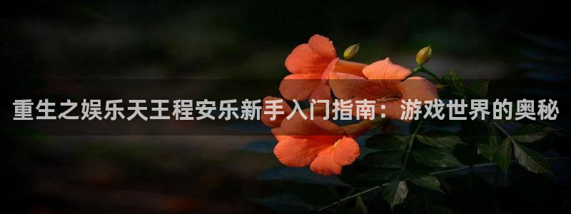 pg国际下载：重生之娱乐天王程安乐新手入门指南：游戏世界的奥秘