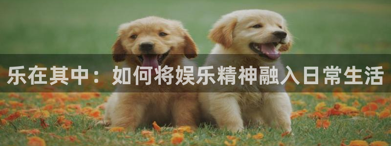 pg国际人：乐在其中：如何将娱乐精神融入日常生活