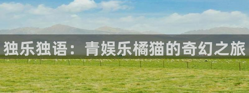 pg国际人：独乐独语：青娱乐橘猫的奇幻之旅