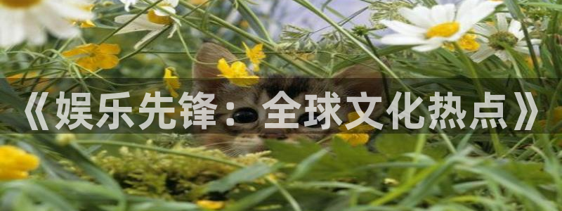 pg国际下载：《娱乐先锋：全球文化热点》