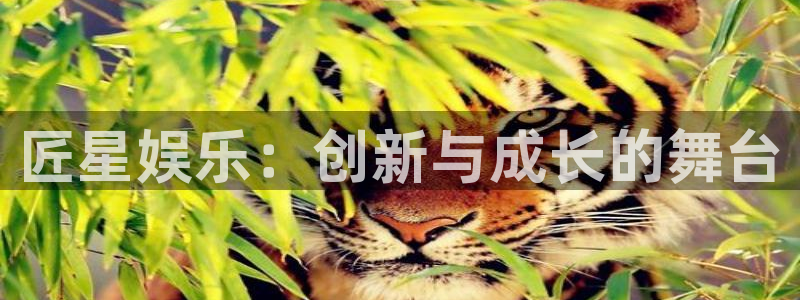 pg国际平台：匠星娱乐：创新与成长的舞台