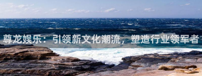 pg国际下载：尊龙娱乐：引领新文化潮流，塑造行业领军者