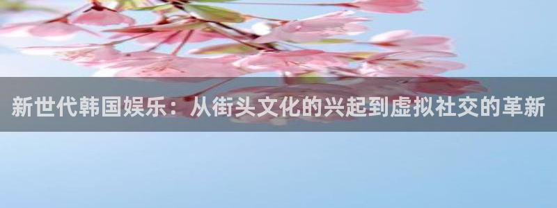 pg国际平台：新世代韩国娱乐：从街头文化的兴起到虚拟社交的革新